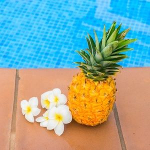 Meet your Posher, Veronique